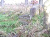 image of grave number 305190